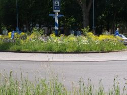 Vlinderrotonde Wageningen, beplanting. Foto: Paardekooper Tuinen
