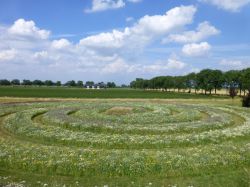 Tijdelijke spiraalakker in de Wilde Weelde Wereld in Appeltern 