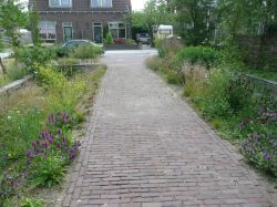 Publiek groen in Olst. Foto: Erik Bretveld (Babako)