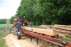 Mobile zagerij maakt planken op maat bij Knoest