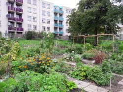 De tuin met pergola