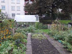 De kas in de tuin